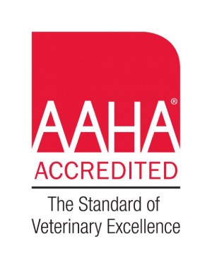 AAHA-accredited